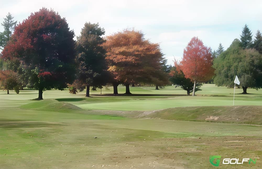 Waimarino Golf Club in Raetihi, Manawatu-Wanganui — 18-hole golf course