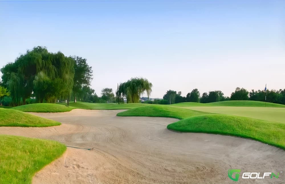 Meadows Golf Club Of Blue Island in Blue Island, Illinois — public, 18-hole golf course, designed by Porter Gibson