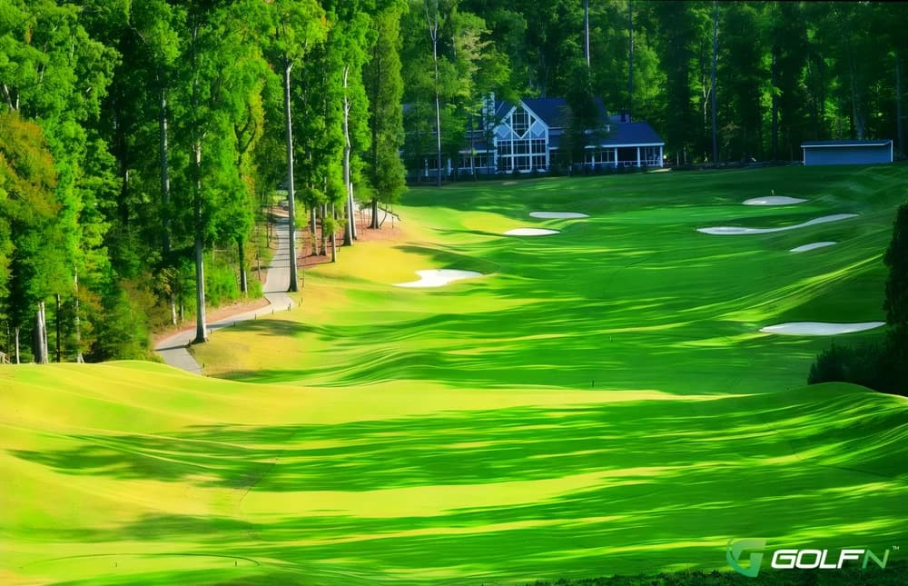 Green - Golden Horseshoe Golf Club in Williamsburg, Virginia — resort, 36-hole golf course, designed by Rees Jones (1991)
