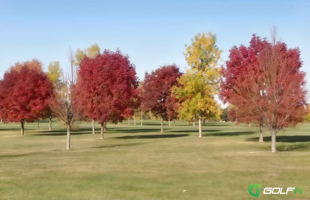Walters Ridge - Pheasant Ridge Course in Cedar Falls, Iowa — public, 27-hole golf course, designed by Williams, Gill & Associates
