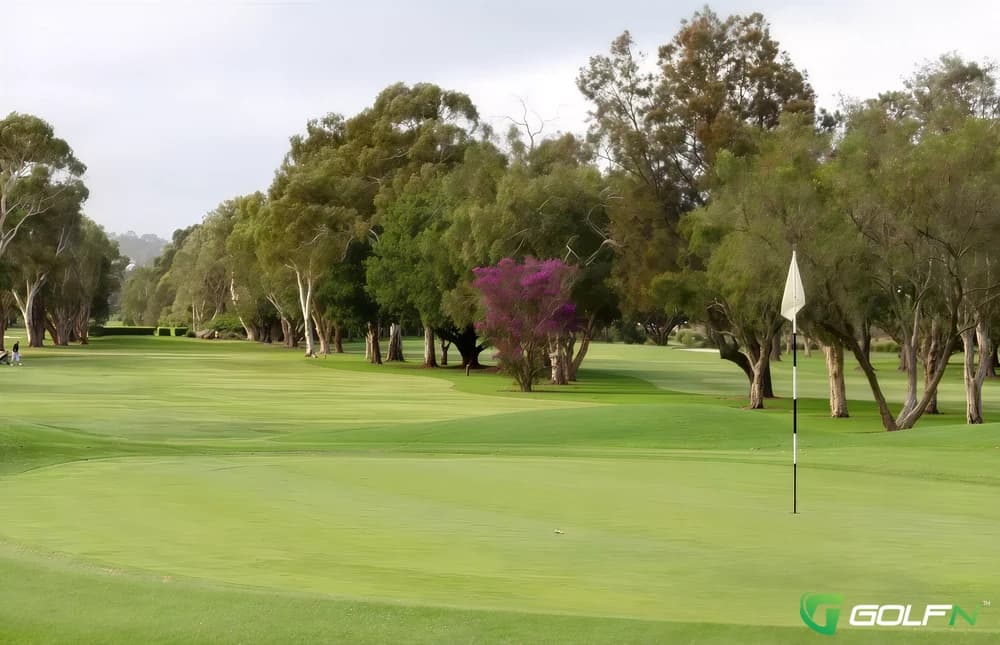 Warringah Golf Club in Sydney, New South Wales — public, 18-hole golf course
