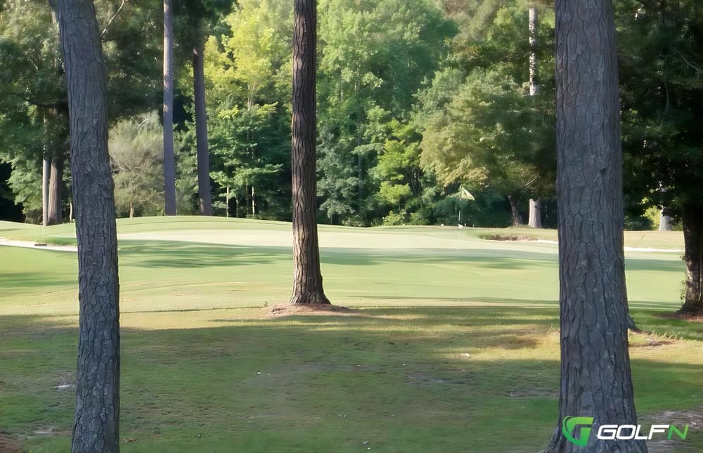 Roanoke Country Club in Roanoke, Alabama — semi-private, 9-hole golf course
