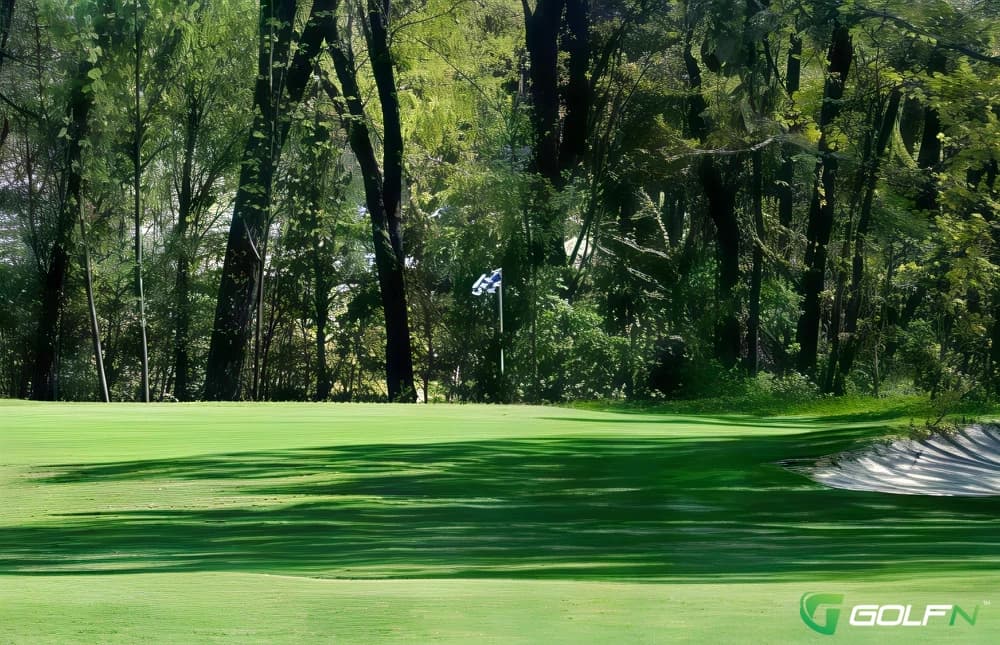 Phoenix Lake Golf Course in Sonora, California — public, 18-hole golf course, designed by When you need Sonora tee times for a quick round of golf, Phoenix Lake Golf Course tee times are the only ones available in the area and the prices are very reasonable. Amenities include a putting green, driving range, fully stocked pro shop, cart rentals and a restaurant.