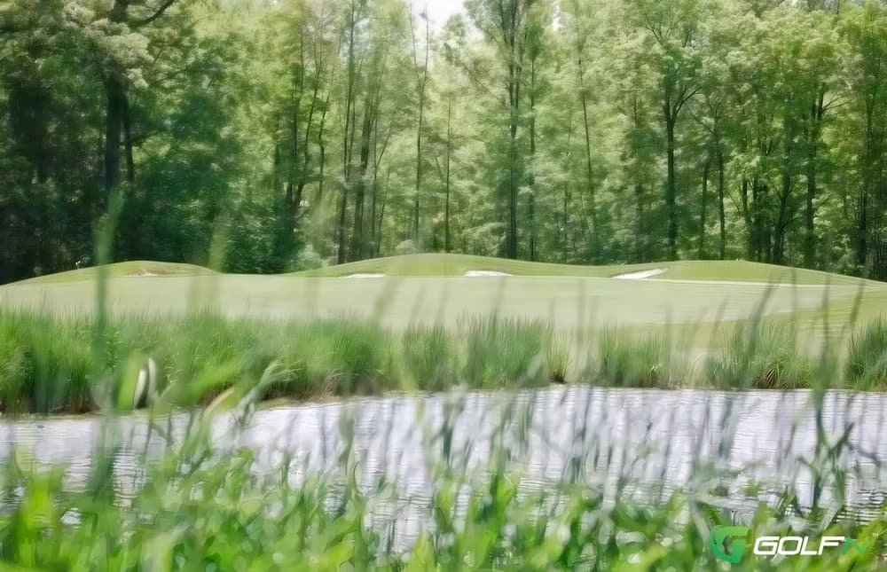 Cayuga Golf Club in Cayuga, Ontario — public, 18-hole golf course, designed by Dick Kirkpatrick (2003)