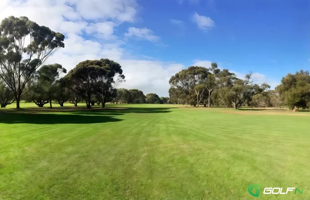 Cummins Golf Club in Cummins, South Australia β public, 18-hole golf course