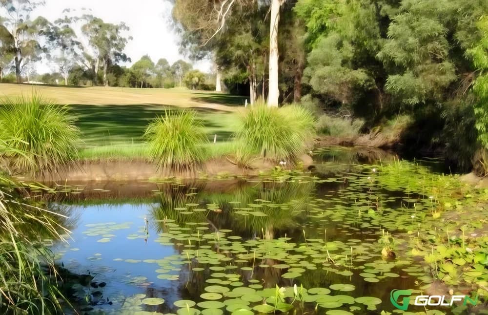 Bay Islands Golf Club in Macleay Island, Queensland β semi-private, 18-hole golf course
