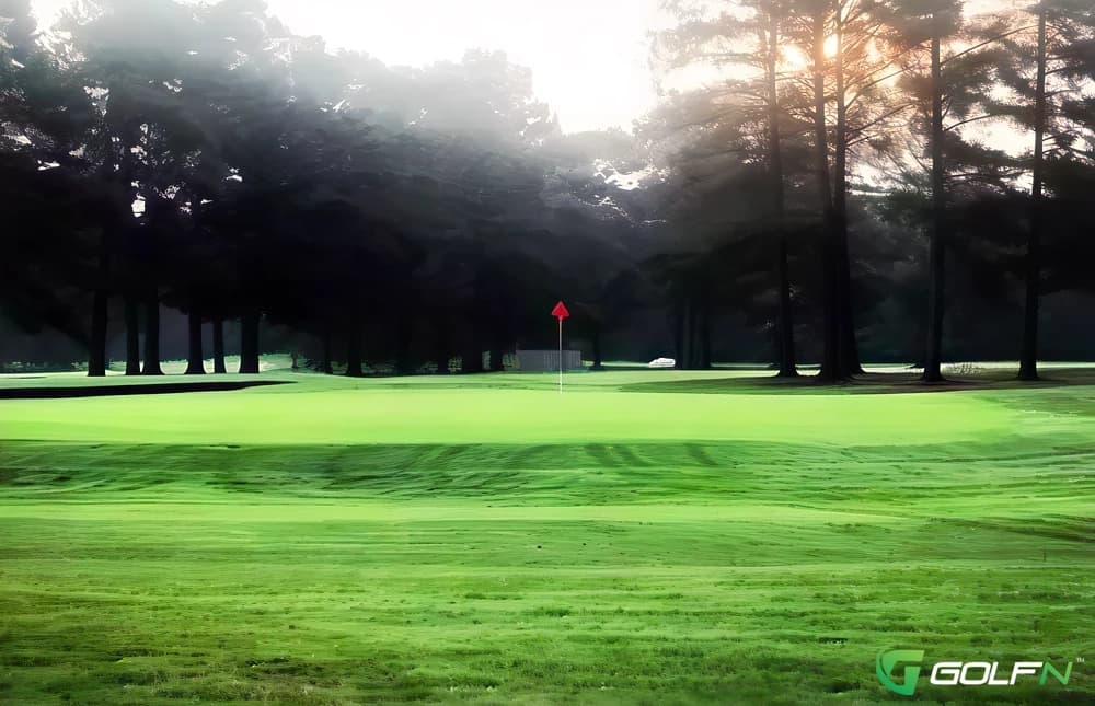 Ayden Golf & Country Club in Ayden, North Carolina — semi-private, 18-hole golf course, designed by C. Stroud