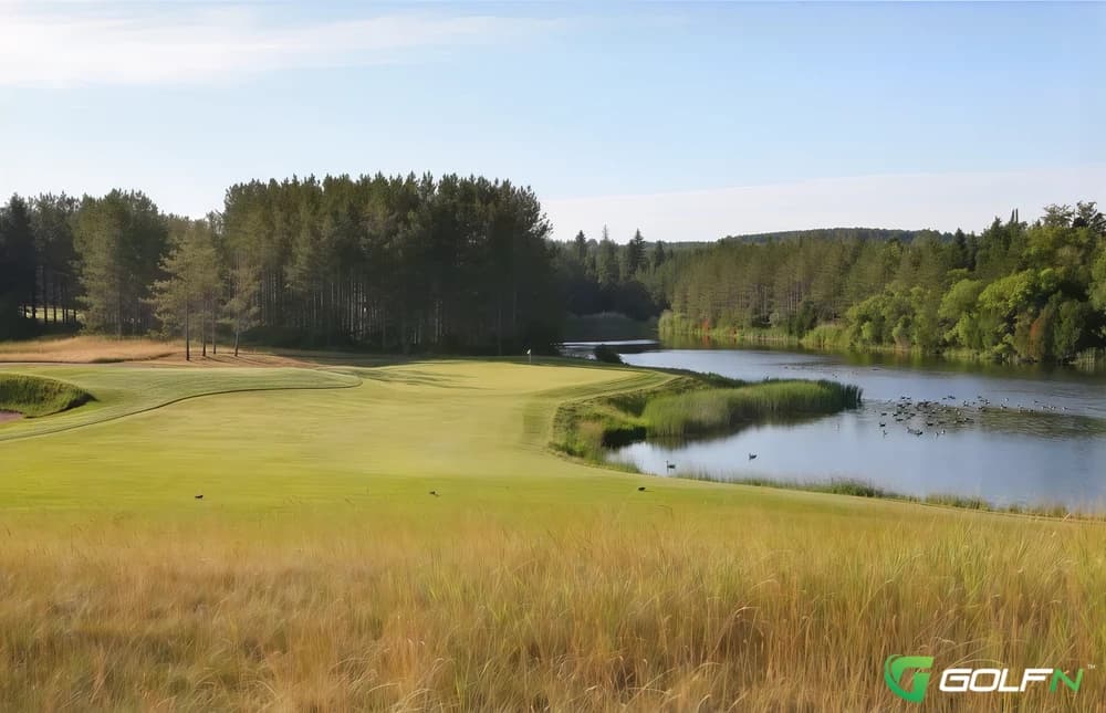Hoot -  Tpc Toronto At Osprey Valley in Caledon, Ontario — resort, 18-hole golf course, designed by Doug Carrick (2001)