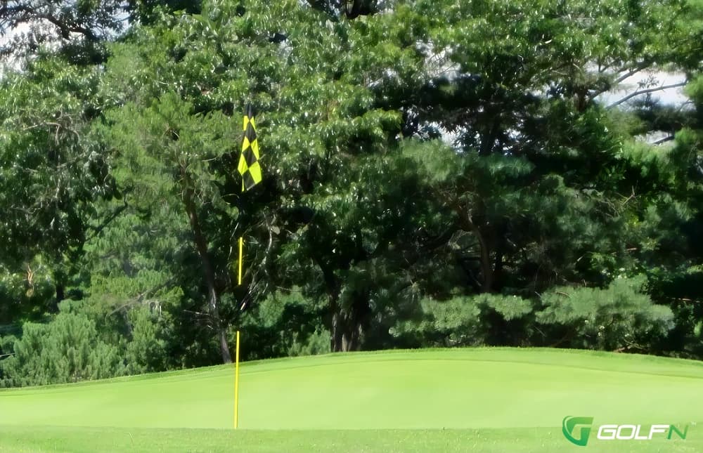 West - Chicago Heights Park District Golf Course in Chicago Heights, Illinois — public, 9-hole golf course