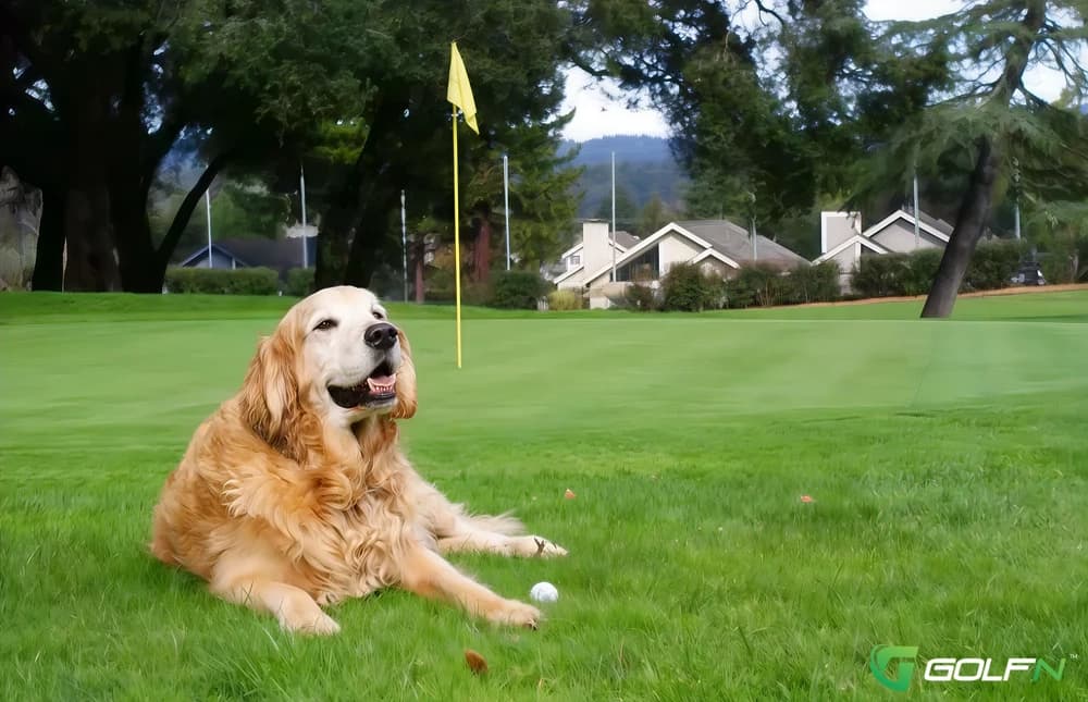 Valley Gardens Golf Course in Scotts Valley, California — public, 9-hole golf course, designed by Bob E. Baldock