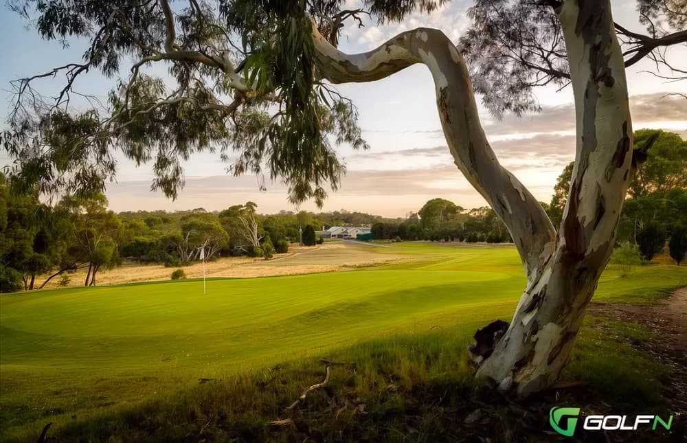 Tanunda Pines Golf Club in Rowland Flat, South Australia — public, 18-hole golf course