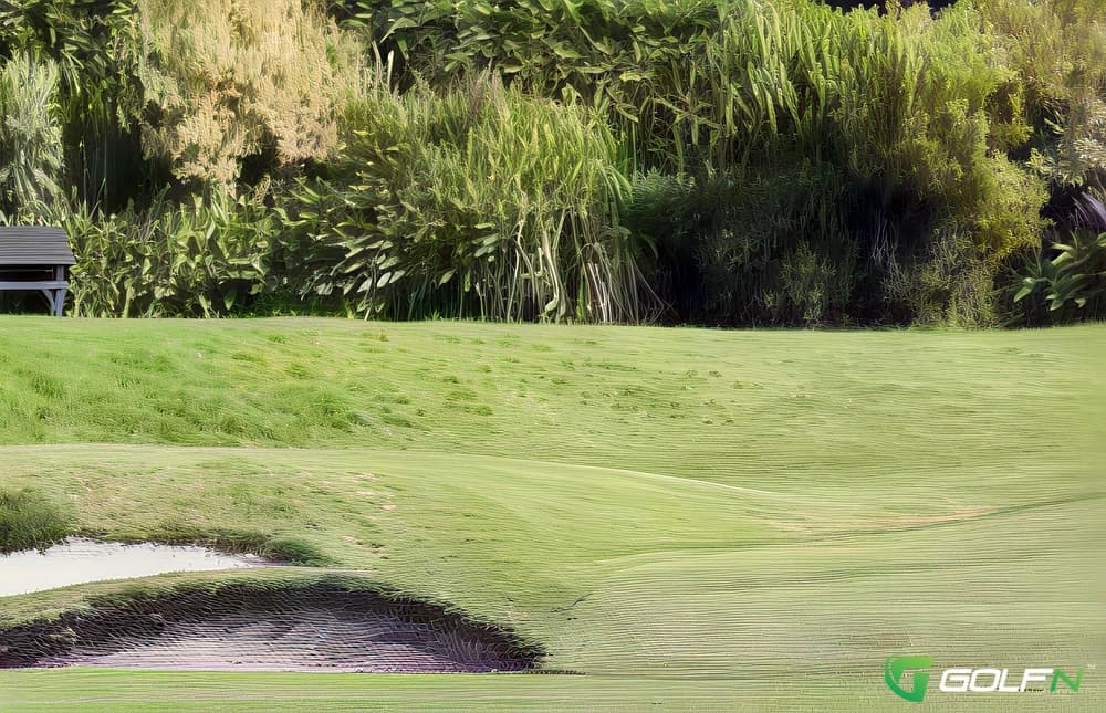 Belmont Links - Wanganui Golf Club in Whanganui, Manawatu-Wanganui β semi-private, 18-hole golf course