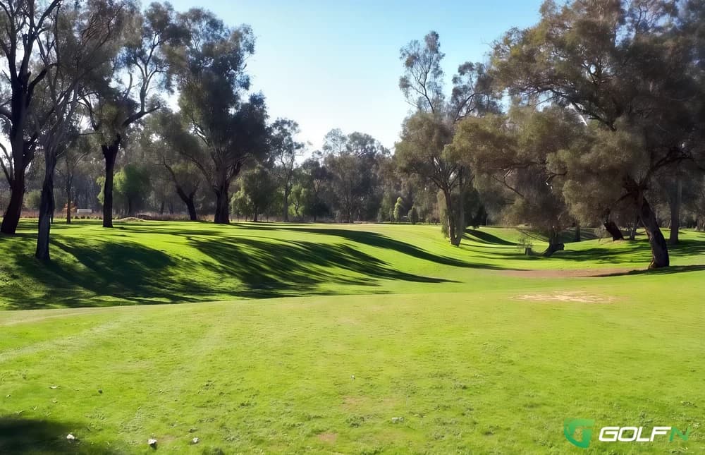 Culcairn Golf Club in Culcairn, New South Wales β public, 18-hole golf course