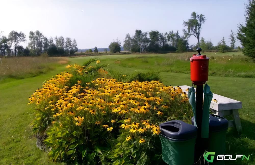Meadow Land Golf Club in Orangeville, Ontario — public, 9-hole golf course
