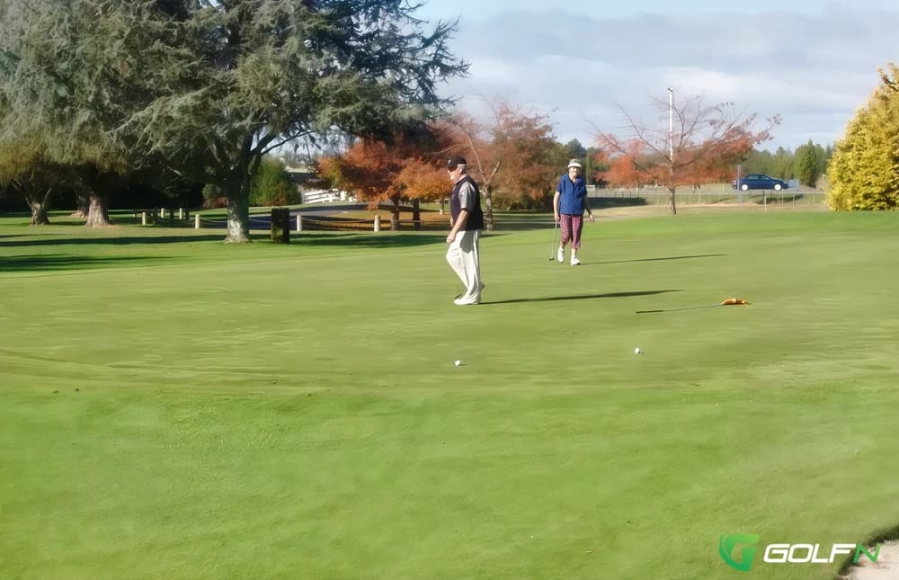 Te Puke Golf in Te Puke, Bay of Plenty β public, 18-hole golf course