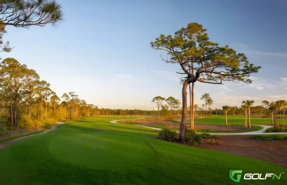Saltleaf Golf Preserve ~ The Preserve in Bonita Springs, Florida — public, 18-hole golf course, designed by Raymond Floyd (2001)