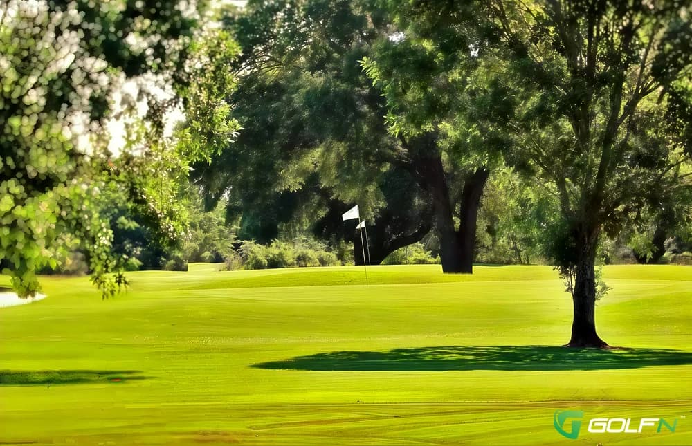 Southern Oaks in Abbeville, Louisiana — semi-private, 18-hole golf course, designed by Frank A. Godchaugx