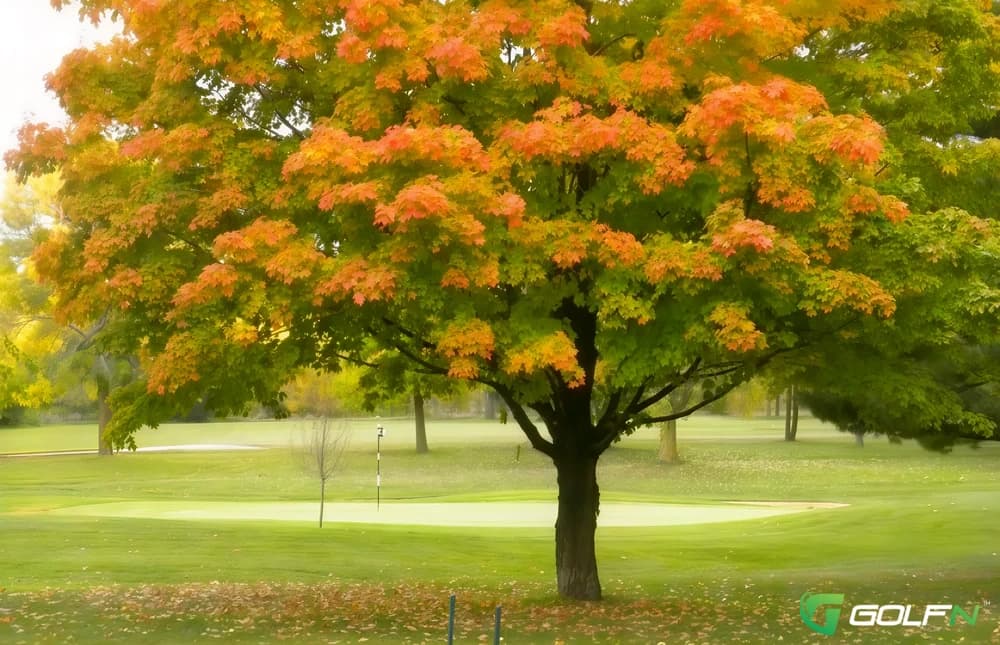 Maplecrest Country Club in Kenosha, Wisconsin — semi-private, 18-hole golf course, designed by Leonard Macomber (1929)