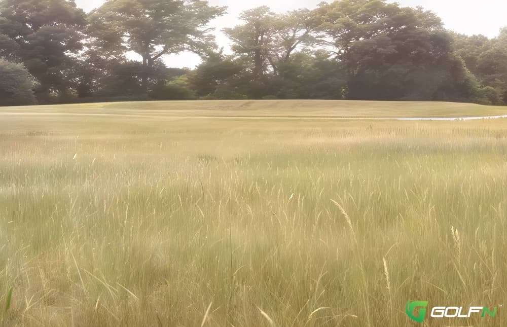 Lakeland Hills Golf Course in Jackson, Michigan — public, 18-hole golf course