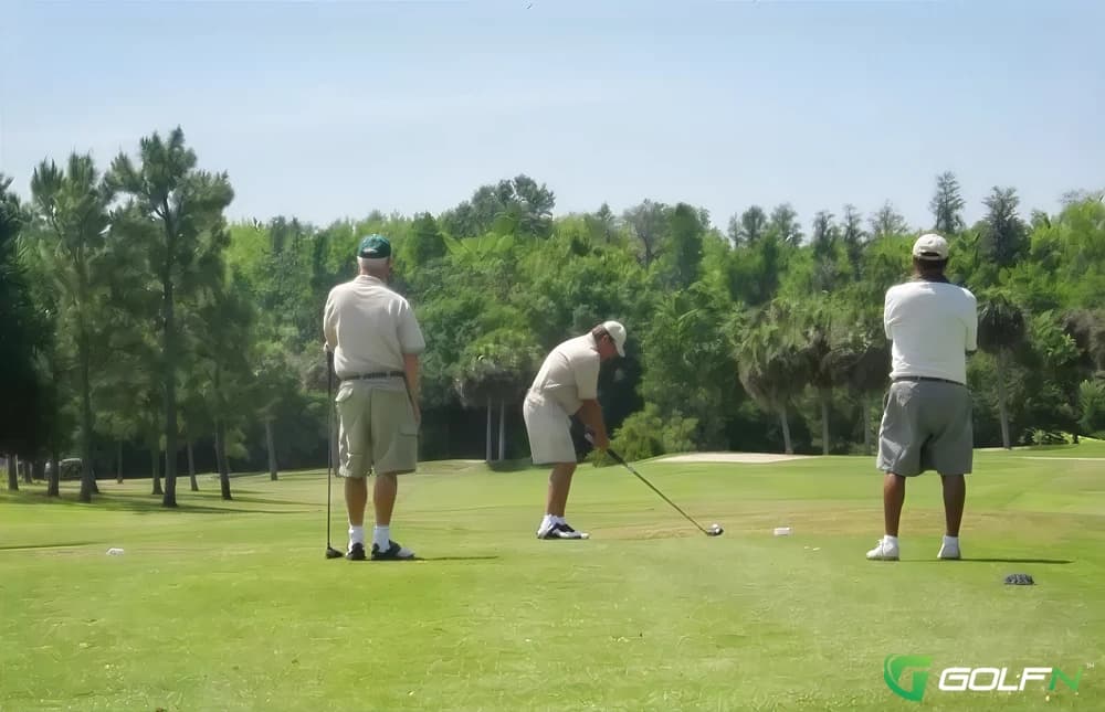 Gator - Silver Dollar Golf Club in Odessa, Florida — public, 27-hole golf course