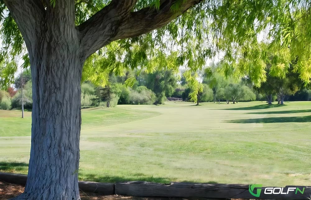 Jack Tone Golf in Ripon, California — public, 18-hole golf course, designed by George Buzzini