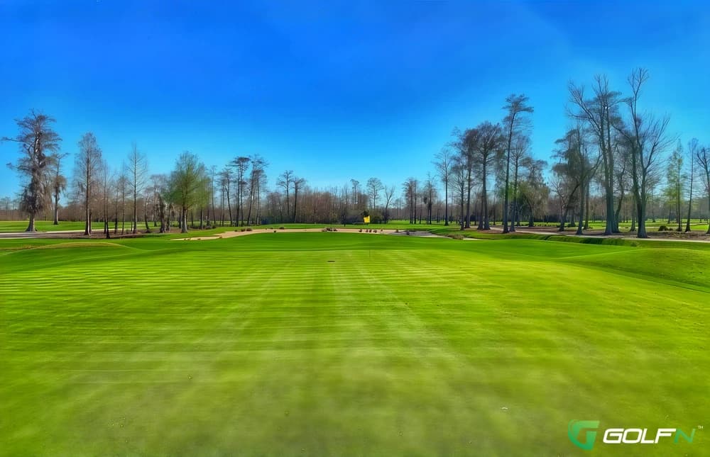Tpc Of Louisiana in Avondale, Louisiana — public, 18-hole golf course, designed by Pete Dye
(2004)