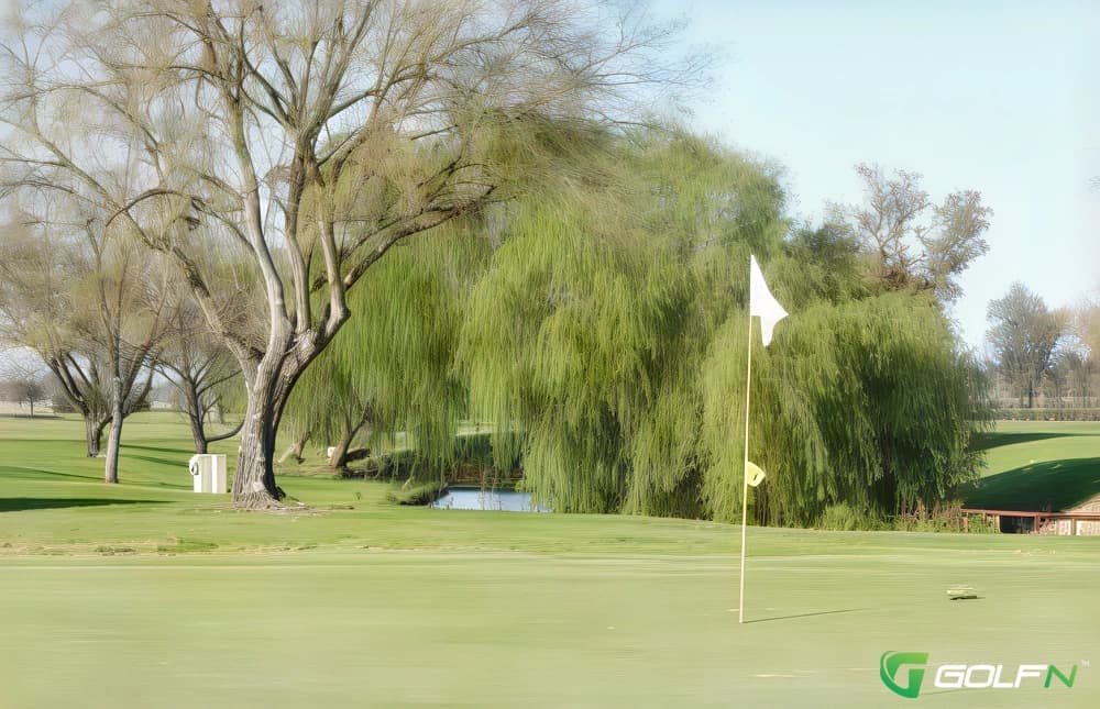 Colusa Golf & Country Club in Colusa, California — semi-private, 18-hole golf course
