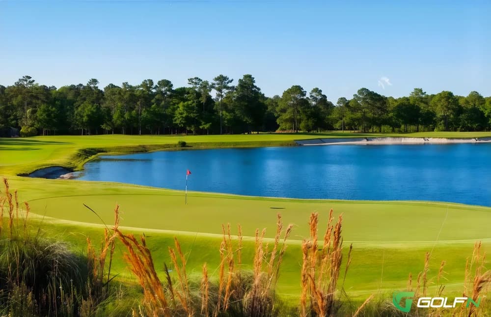 True Blue Golf Plantation in Pawley's Island, South Carolina — public, 18-hole golf course, designed by Mike Strantz (1998)