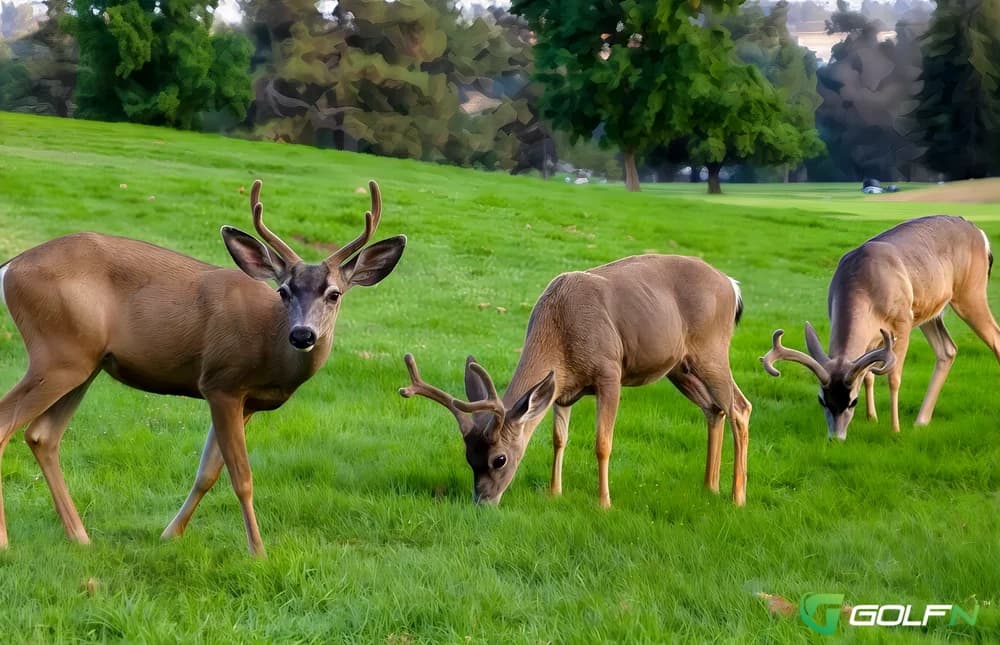 Marshall Canyon Golf Club in La Verne, California — public, 18-hole golf course