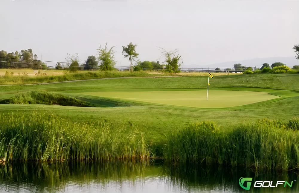 Wild Wings Golf Club in Woodland, California — public, 9-hole golf course, designed by Todd Eckenrode (2005)