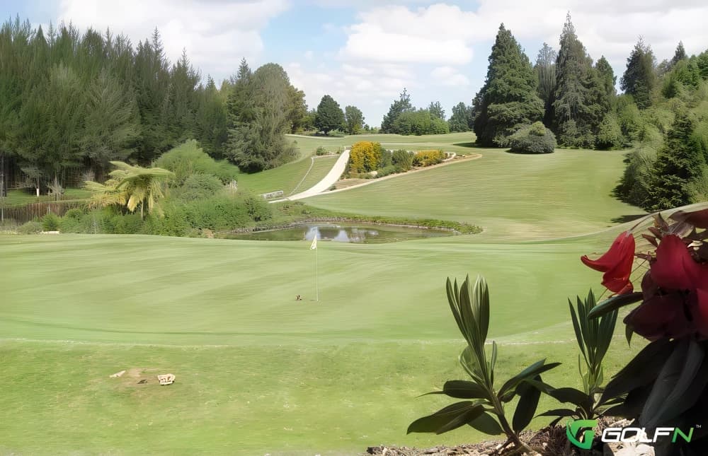 Waitomo Golf Club in Otorohanga, Waikato β public, 18-hole golf course