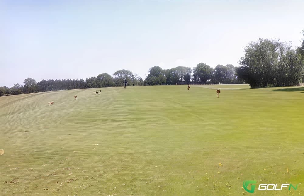 Frankfield Golf Club in Douglas, Cork — private, 18-hole golf course, designed by Edward McSweeney (1984)