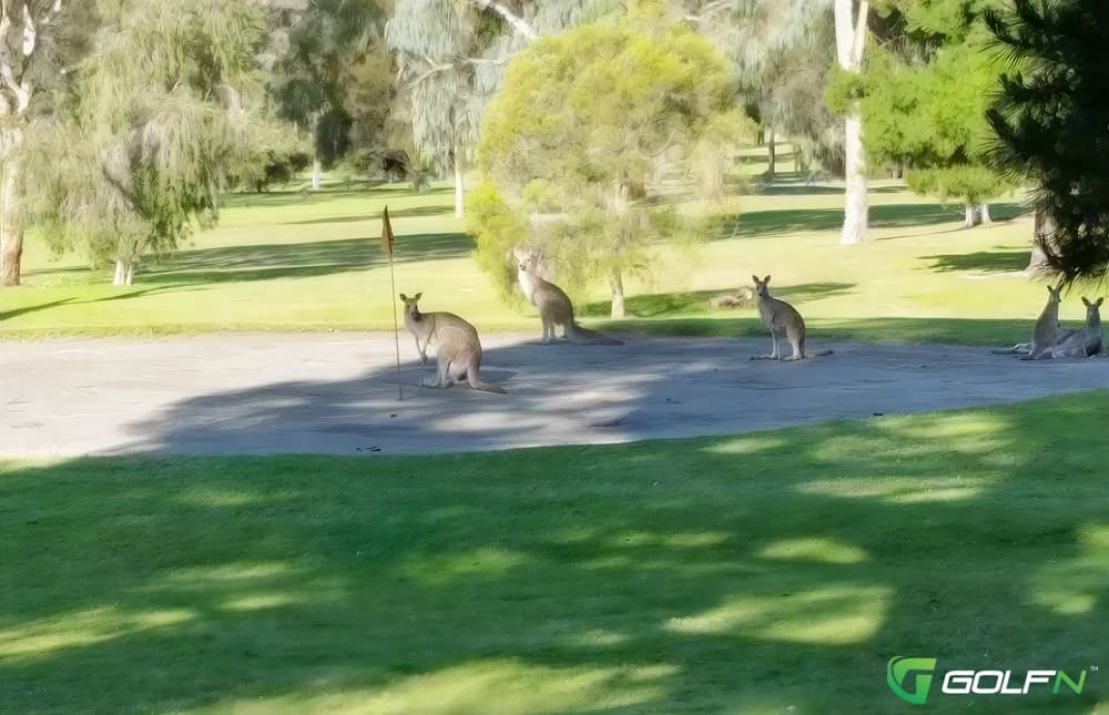 Bandiana Army Golf Club in Bandiana, Victoria β semi-private, 18-hole golf course