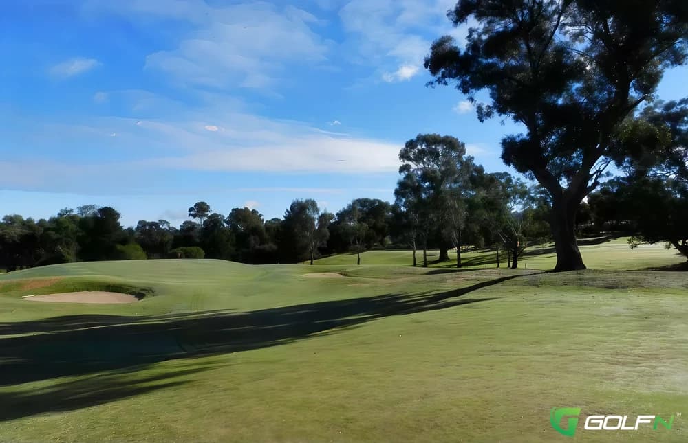 Belvoir Park Golf Club in Ravenswood, Victoria — public, 18-hole golf course
