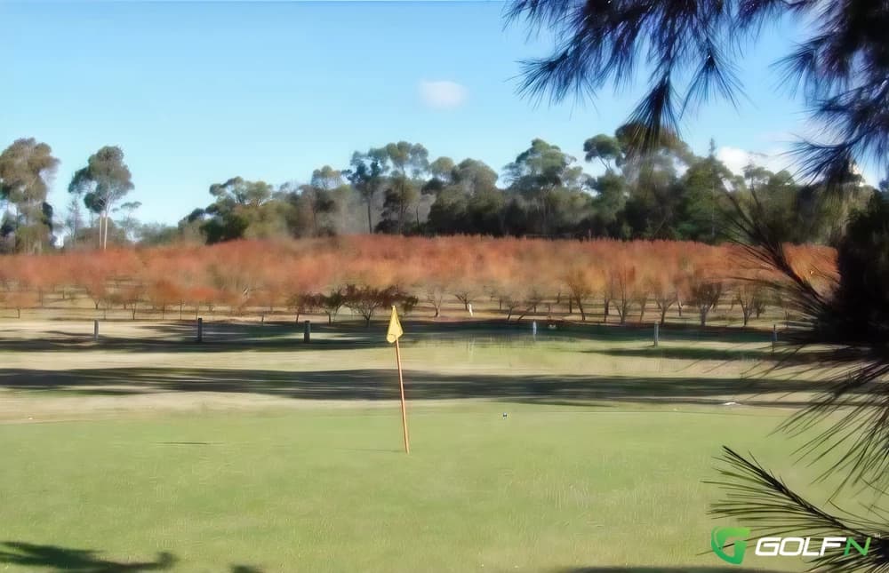 Cerise Brook Family Golf Course in St Helens, Tasmania β public, 9-hole golf course