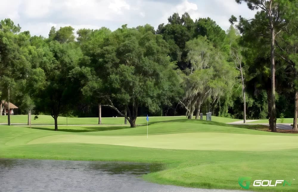 Timber Greens Country Club in New Port Richey, Florida — public, 18-hole golf course, designed by Ron Garl (1995)