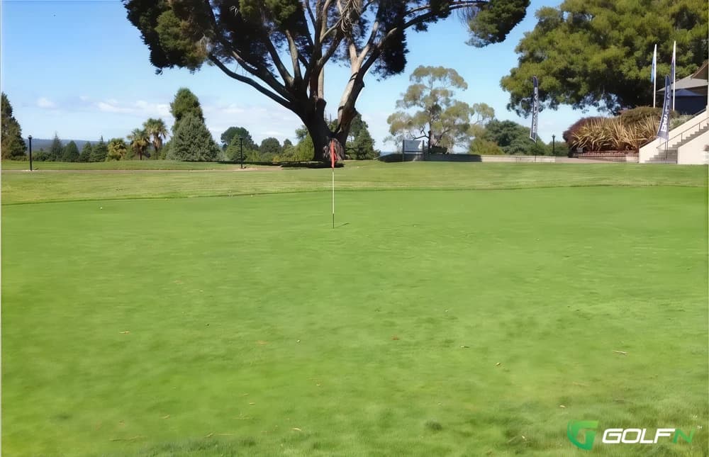 Tauranga Golf Club in Tauranga, Bay of Plenty β public, 18-hole golf course