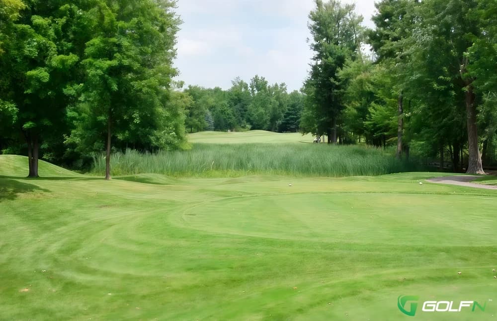 Sugarbush Golf Club in Davison, Michigan — public, 18-hole golf course, designed by Larry & David Mancour