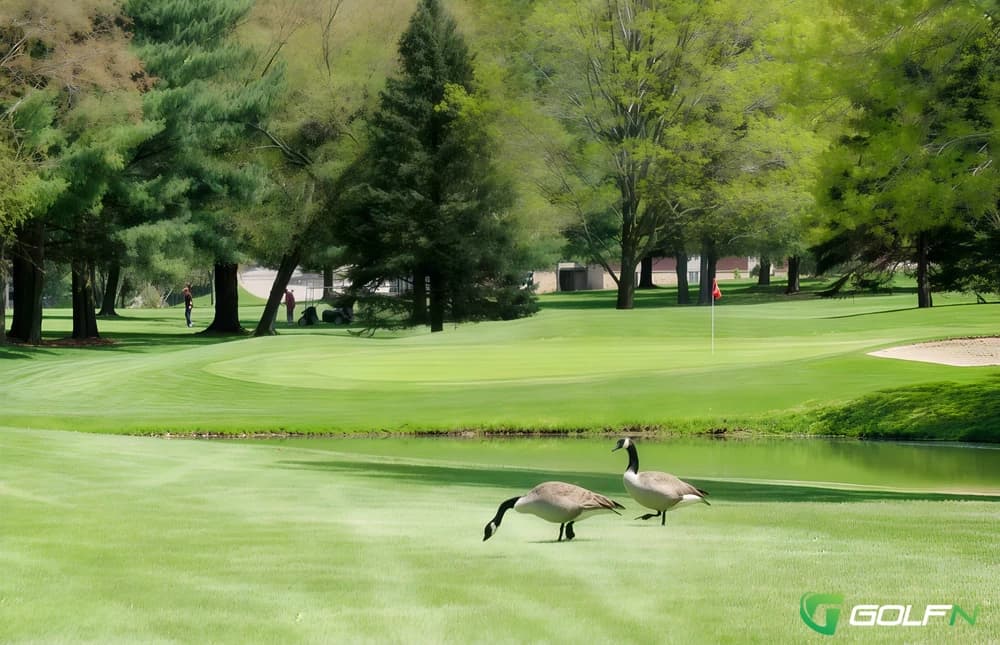 Little Apple Golf Club in Bellville, Ohio — public, 18-hole golf course
