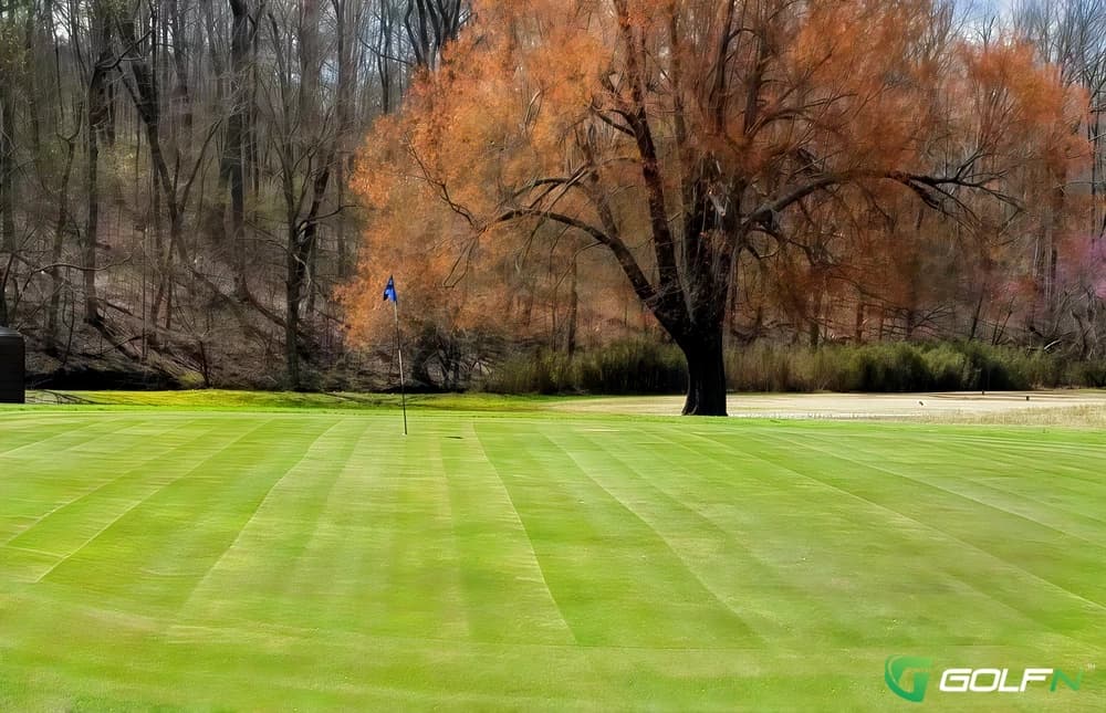 Pennyrile Forest State Park Resort in Dawson Springs, Kentucky — public, 18-hole golf course, designed by Larry Packard (1963)