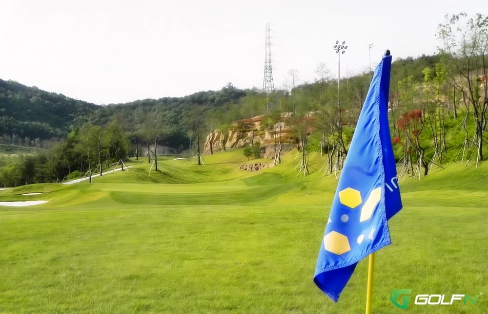 Turtle - Gumi Country Club in Jangcheon-myeon, Gyeongsangbugdo — 27-hole golf course
