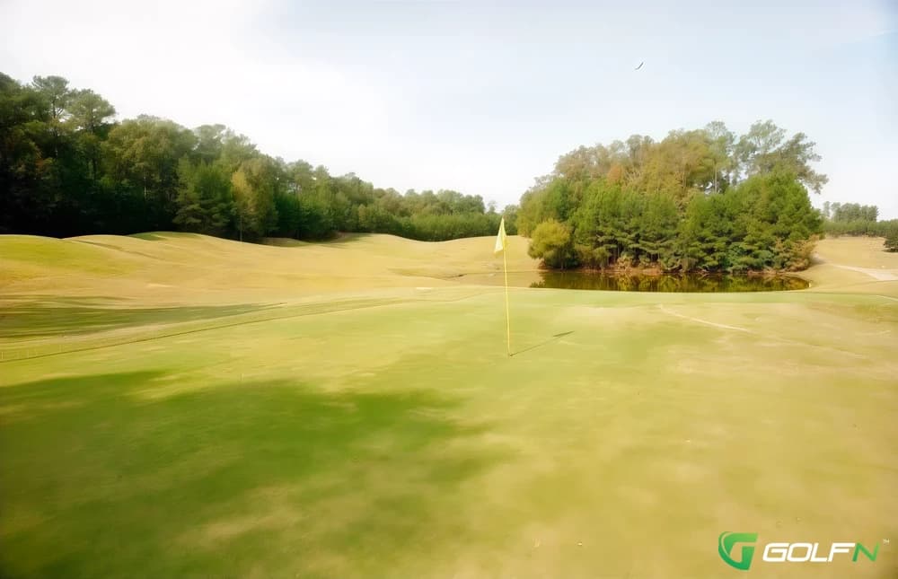 Regulation - Mallard Pointe Golf Course in Sardis, Mississippi — semi-private, 18-hole golf course, designed by Bob Cupp