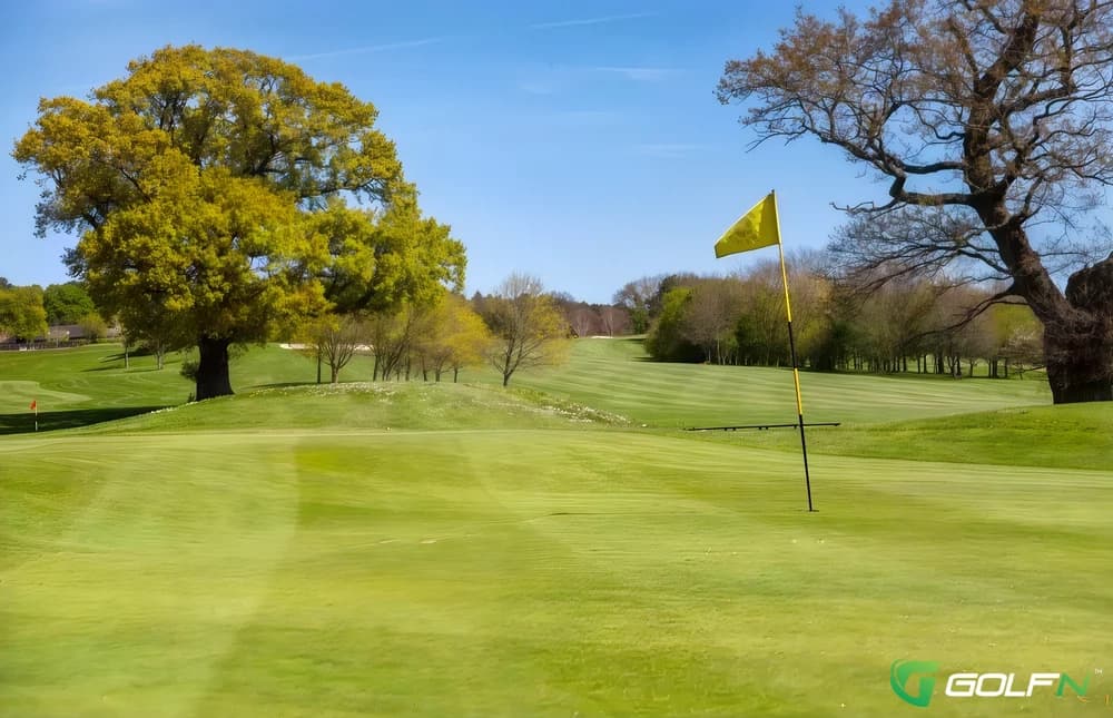 Dudsbury Golf Club in Bournemouth, England — private, 18-hole golf course, designed by Donald Steel (1991)