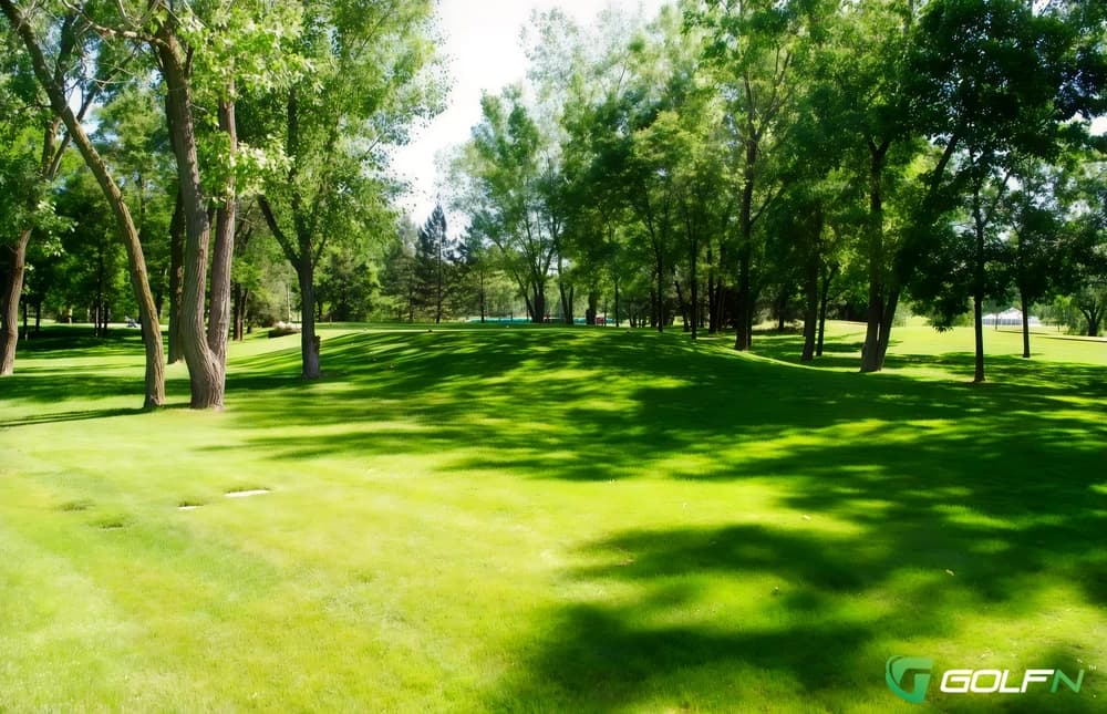 Twin Lakes Golf Course in Palatine, Illinois — public, 36-hole golf course