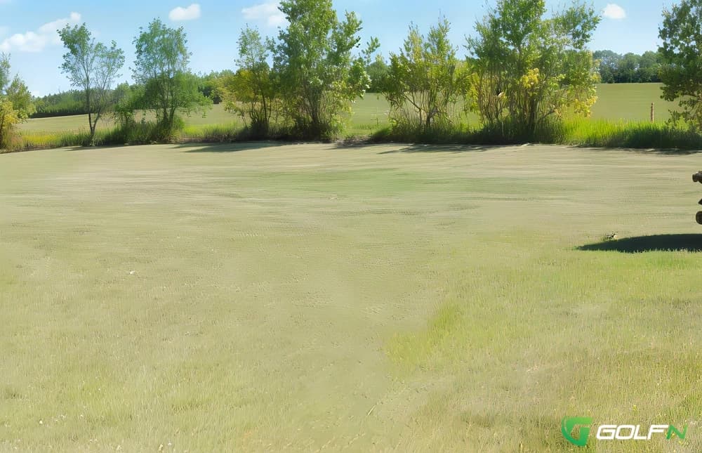 Bengough Regional Golf Club in Bengough , Saskatchewan — semi-private, 9-hole golf course