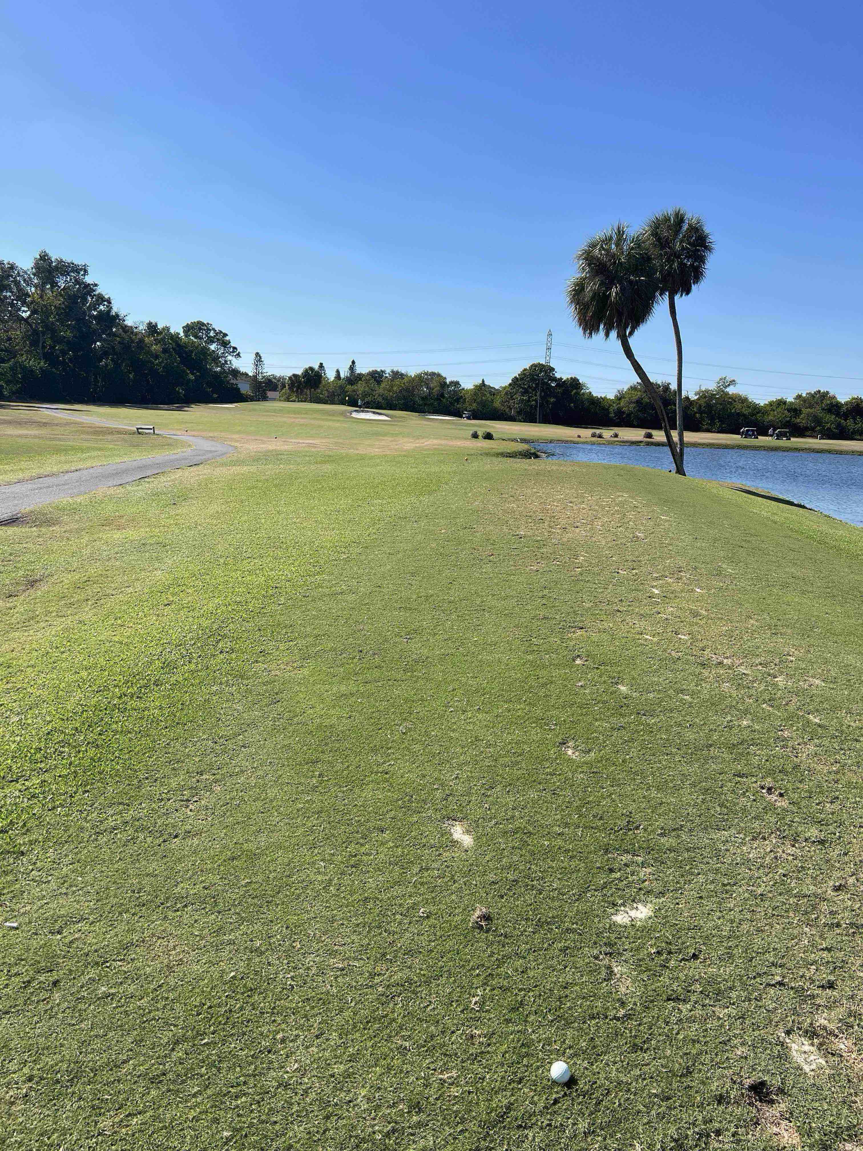 Golfer photo from a round at East Bay Golf Club in Largo, Florida
