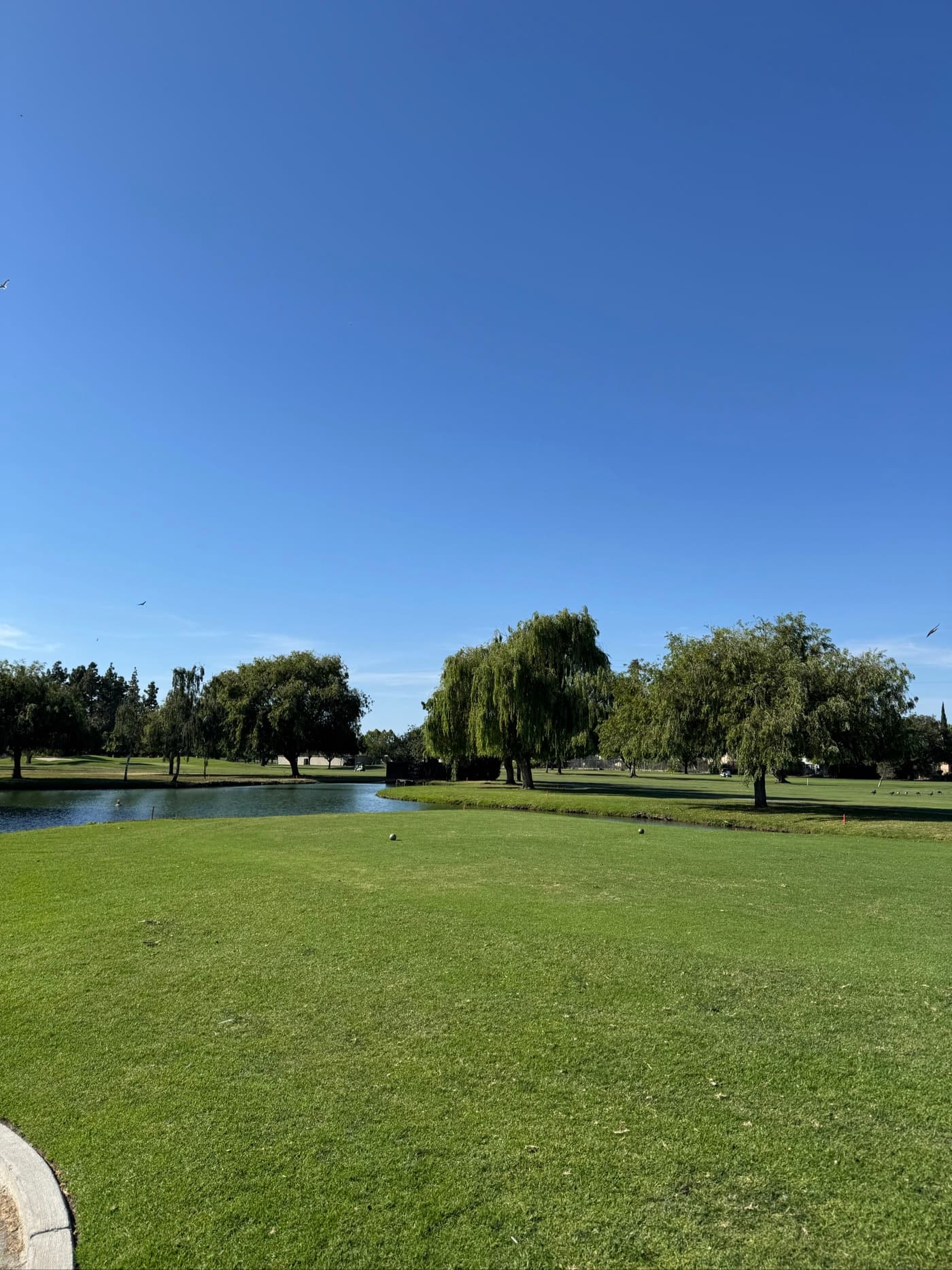 Golfer photo from a round at San Jose Municipal Golf Course in San Jose, California