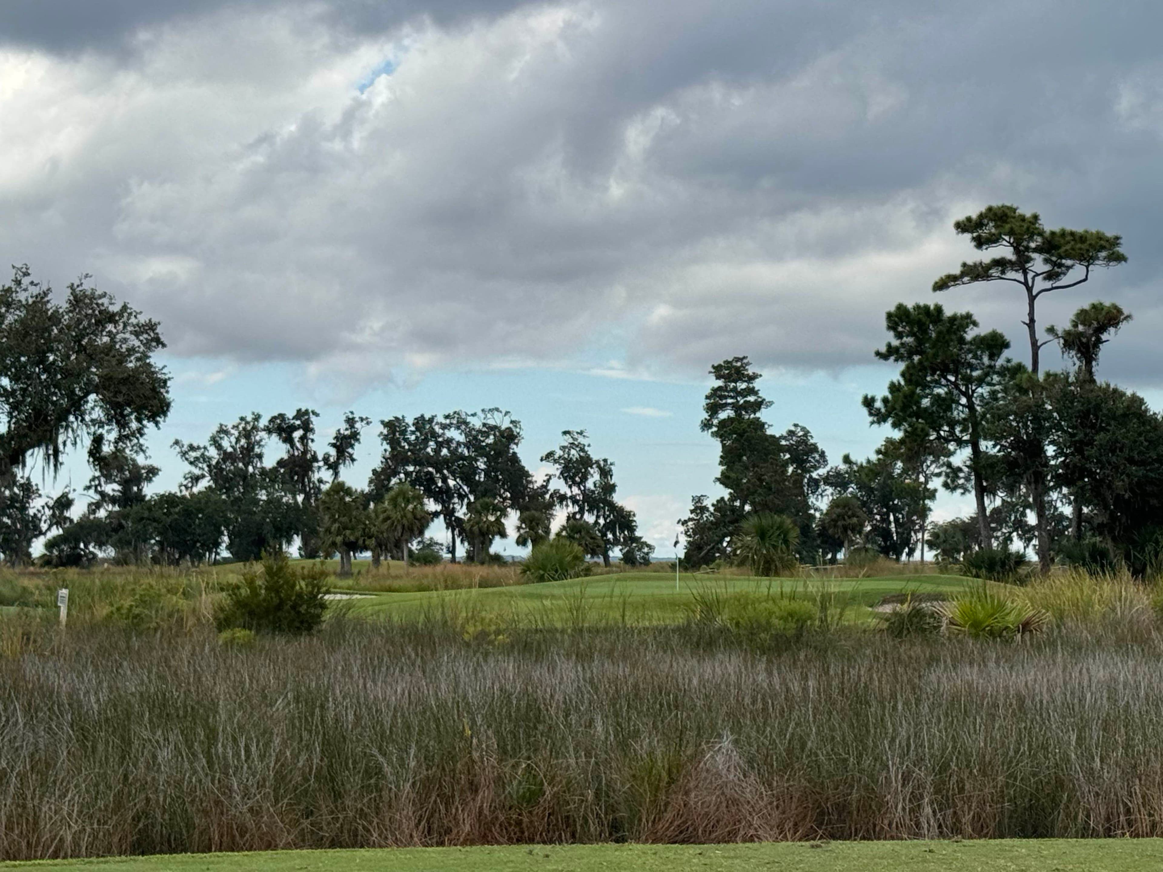 Golfer photo from a round at King And Prince Golf Course in Saint Simons Island, Georgia