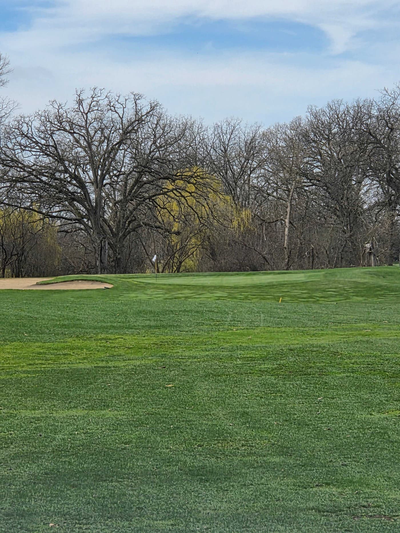 Golfer photo from a round at Joe Jemsek-St. Andrews Golf & Country Club in West Chicago, Illinois
