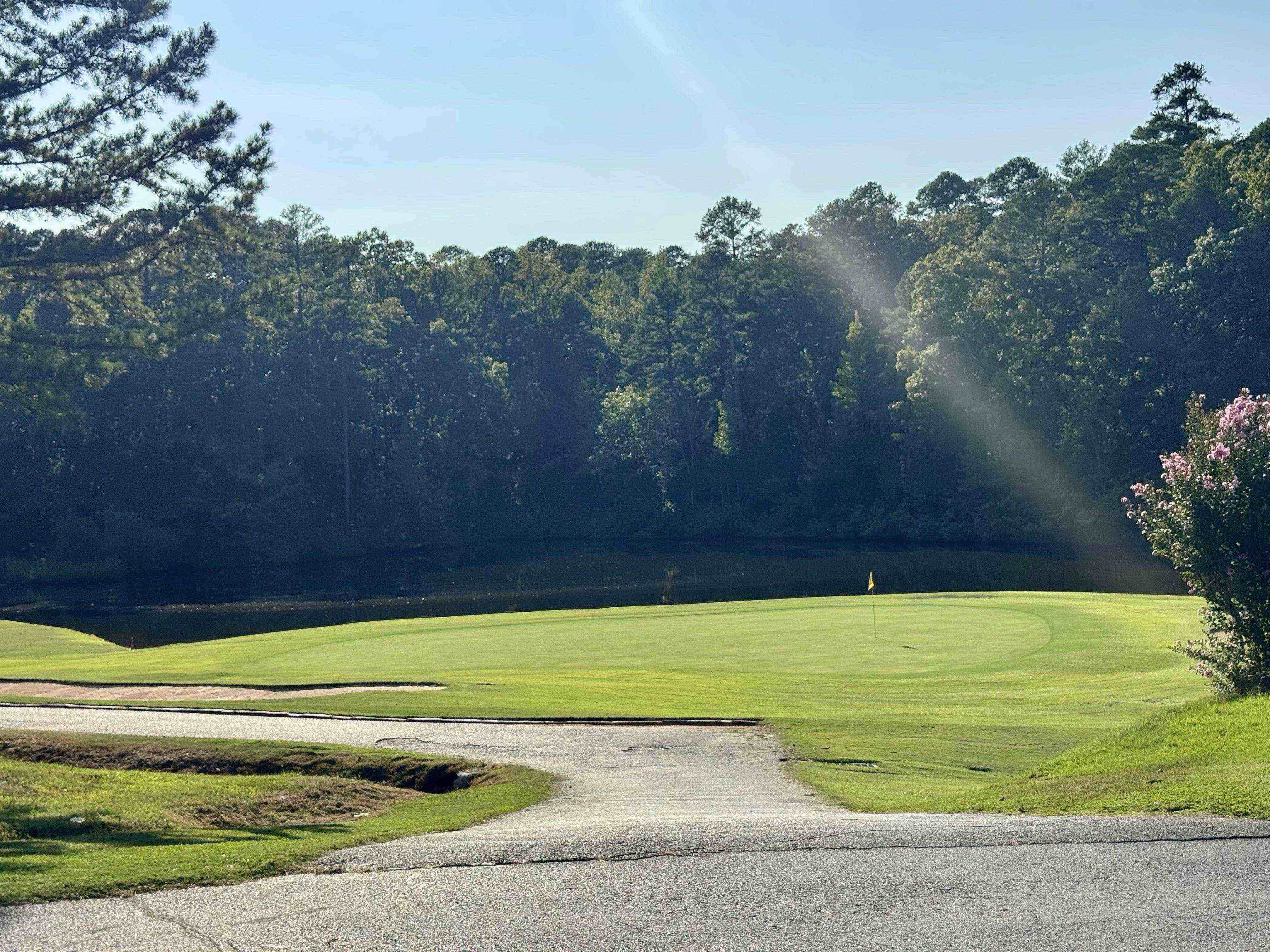 Golfer photo from a round at Cortez - Hot Springs Village in Hot Springs Village, Arkansas